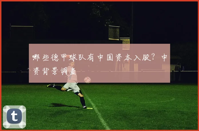 哪些德甲球队有中国资本入股？中资背景调查