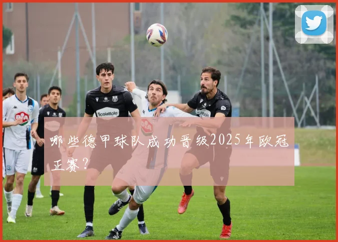 哪些德甲球队成功晋级2025年欧冠正赛？