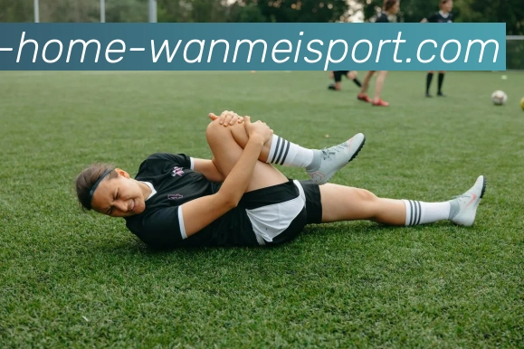 完美体育平台生态图