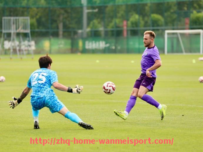 完美体育官方网站-德甲历史上注册过亚洲球员的球队名单及表现